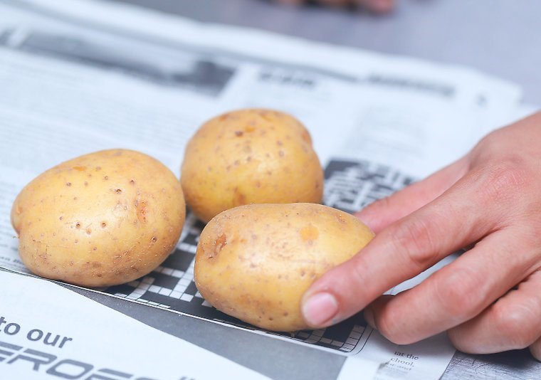 Bạn có thể bảo quản khoai tây bằng cách dùng màng bọc thực phẩm bọc kín từng củ rồi cho vào tủ lạnh